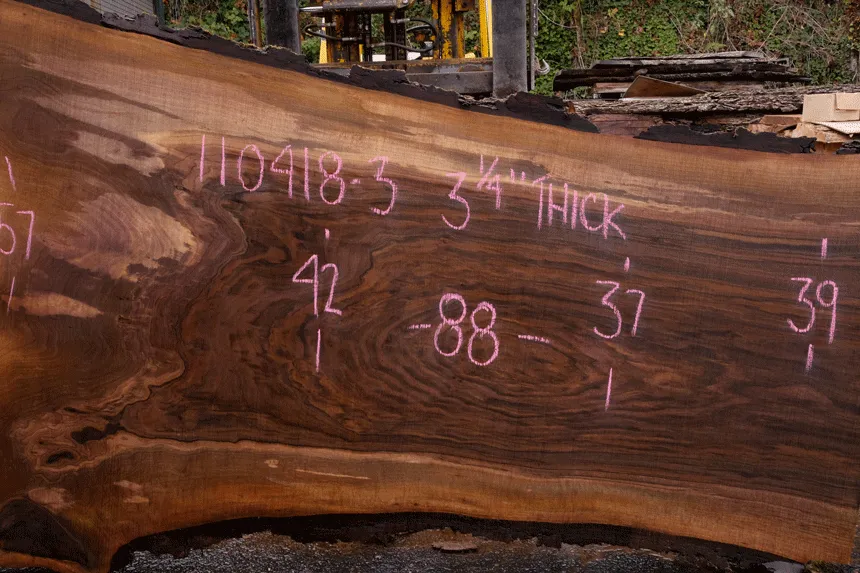 110418-03 Oregon Black Walnut Slab