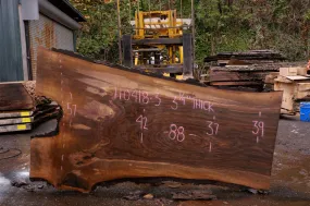 110418-03 Oregon Black Walnut Slab