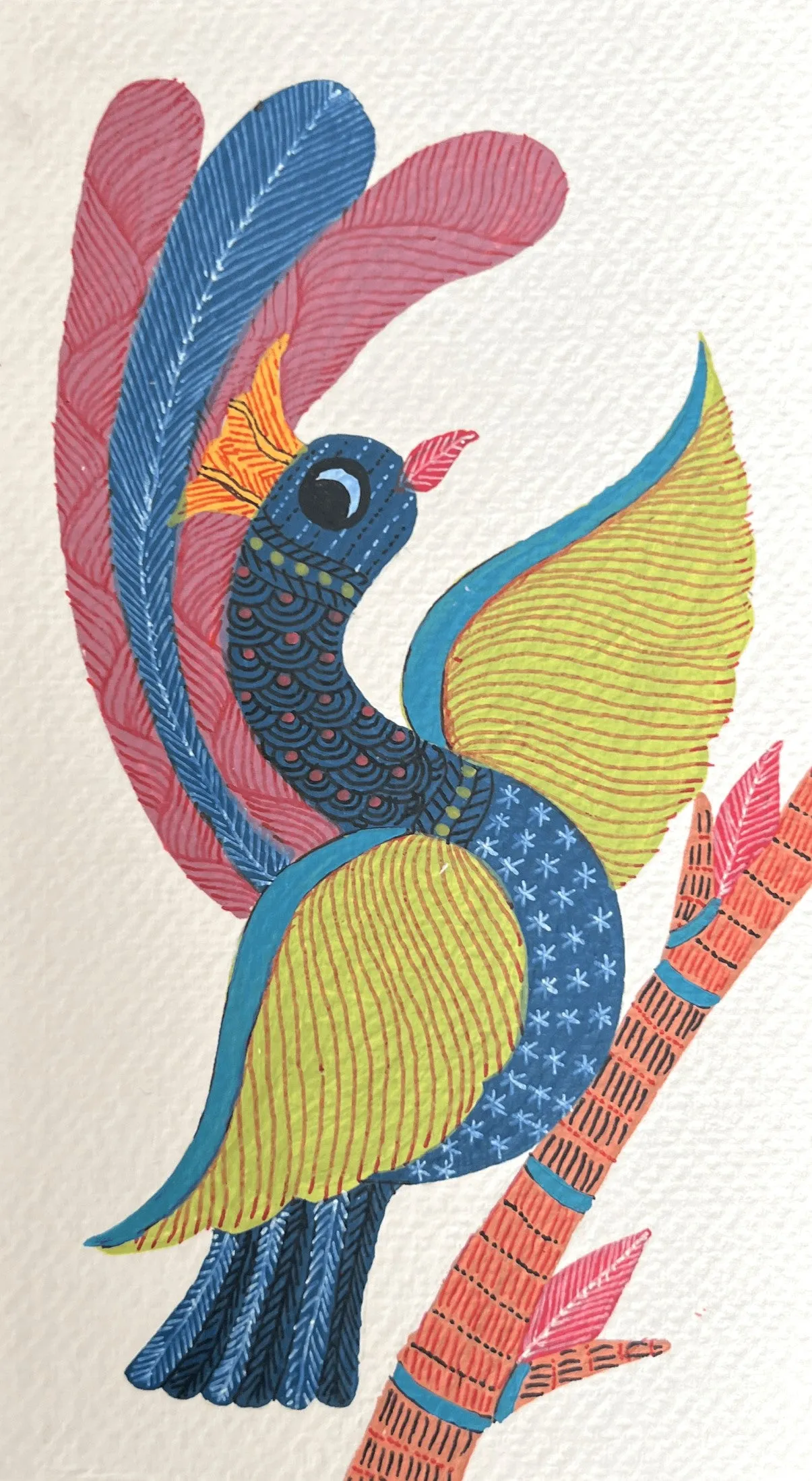 Beauty of a Peacock In Gond by Kailash Pradhan