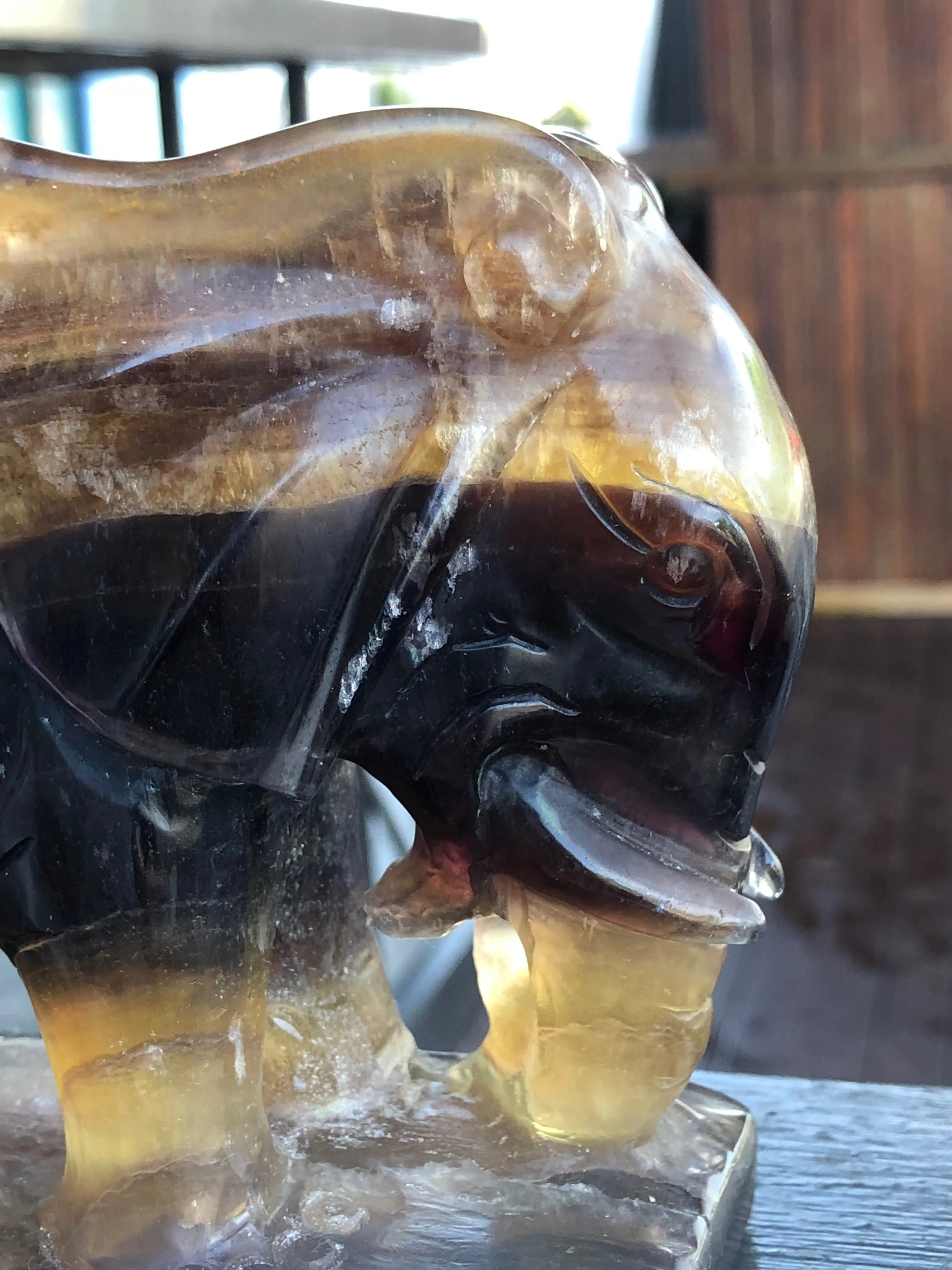 Black, Magenta and Yellow Banded Fluorite Elephant [1k1076]