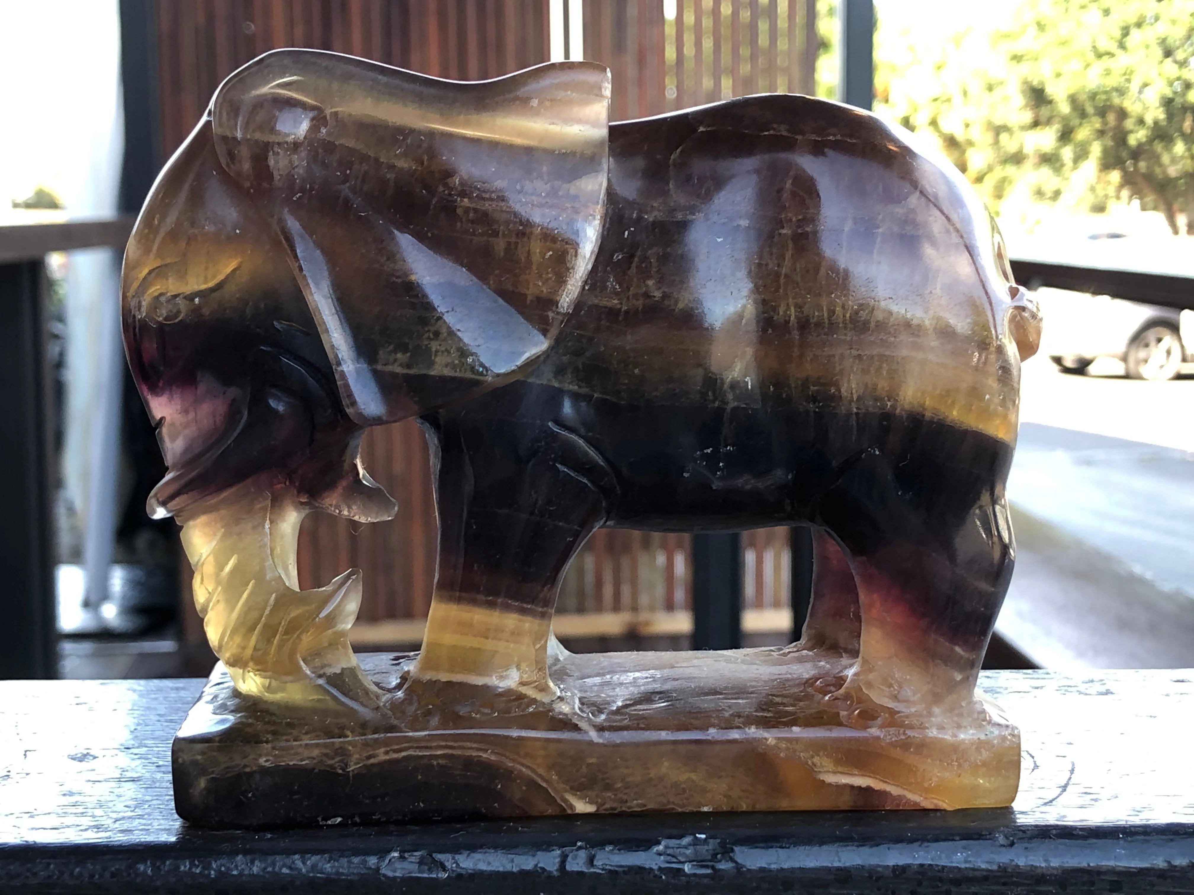 Black, Magenta and Yellow Banded Fluorite Elephant [1k1076]