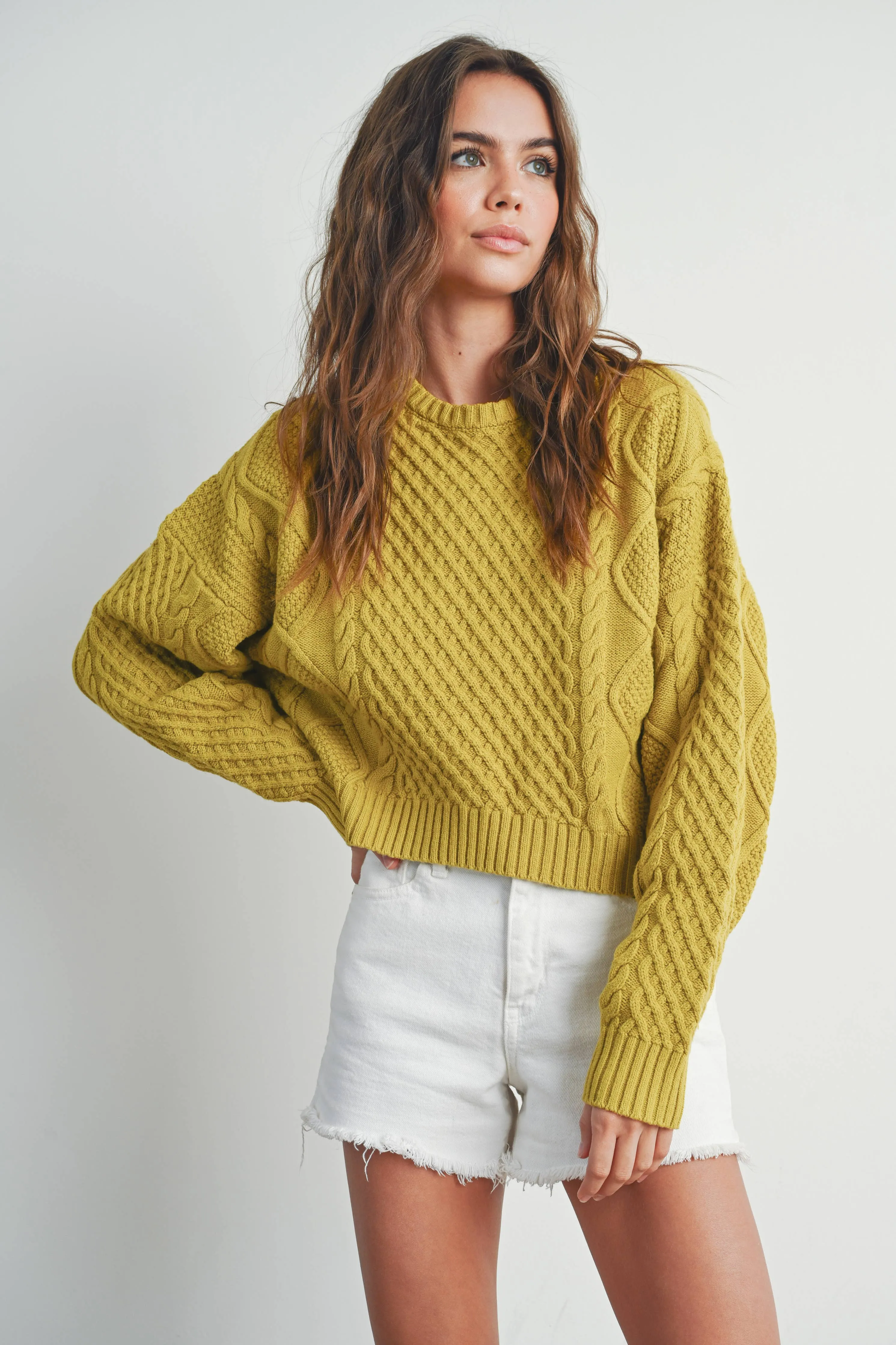 Casual Solid Cable Knit Sweater