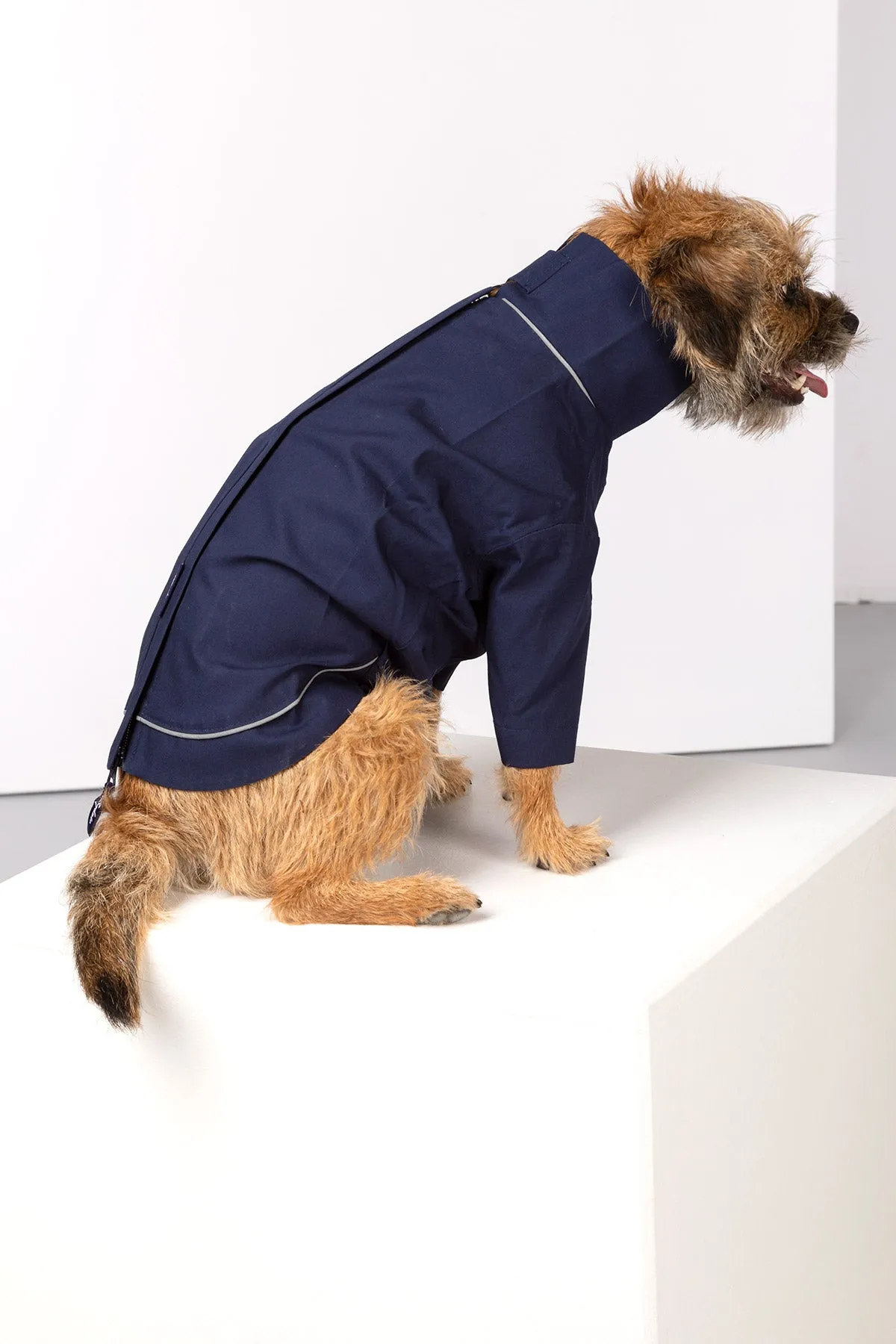 Dog Raincoats - Yapham