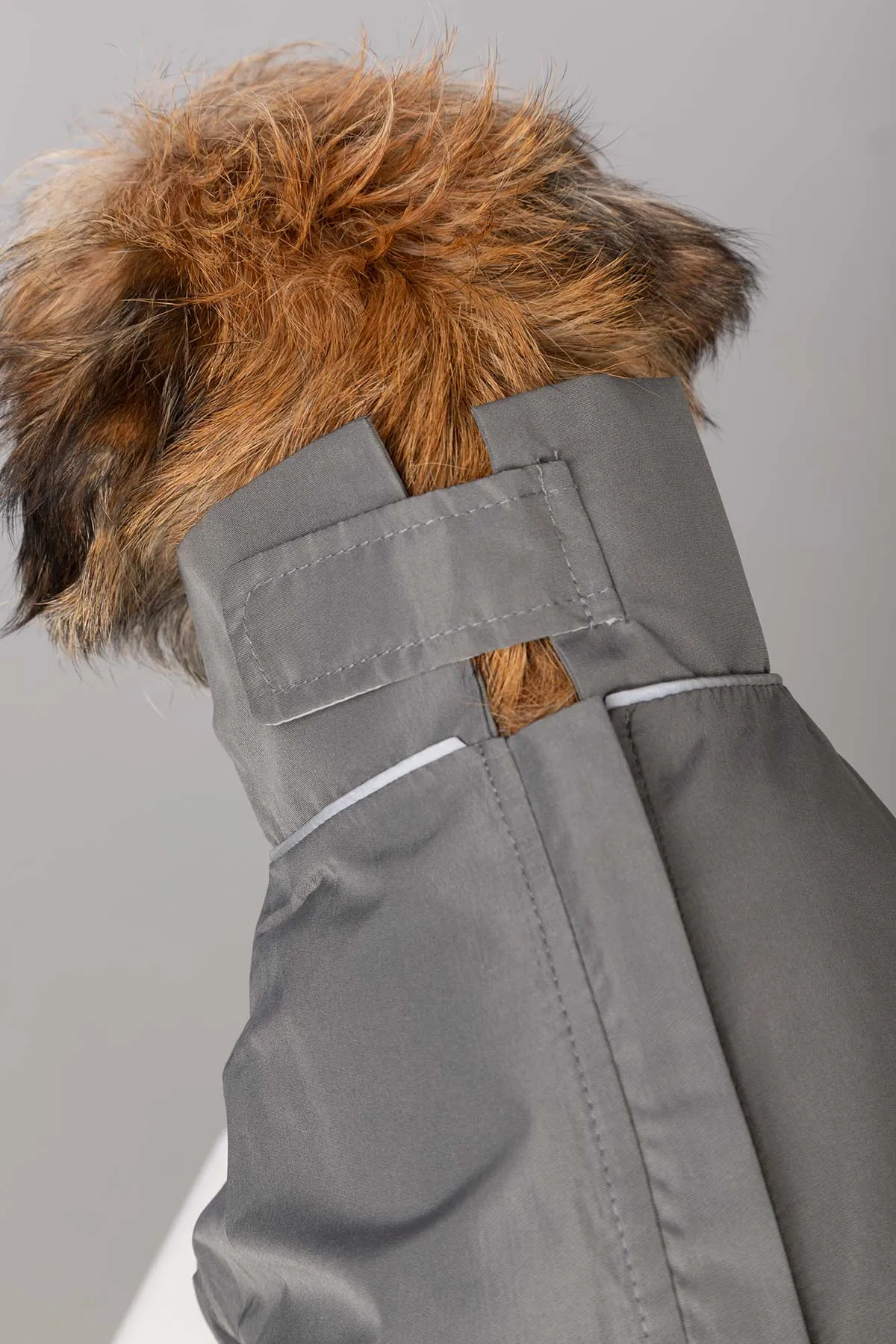 Dog Raincoats - Yapham