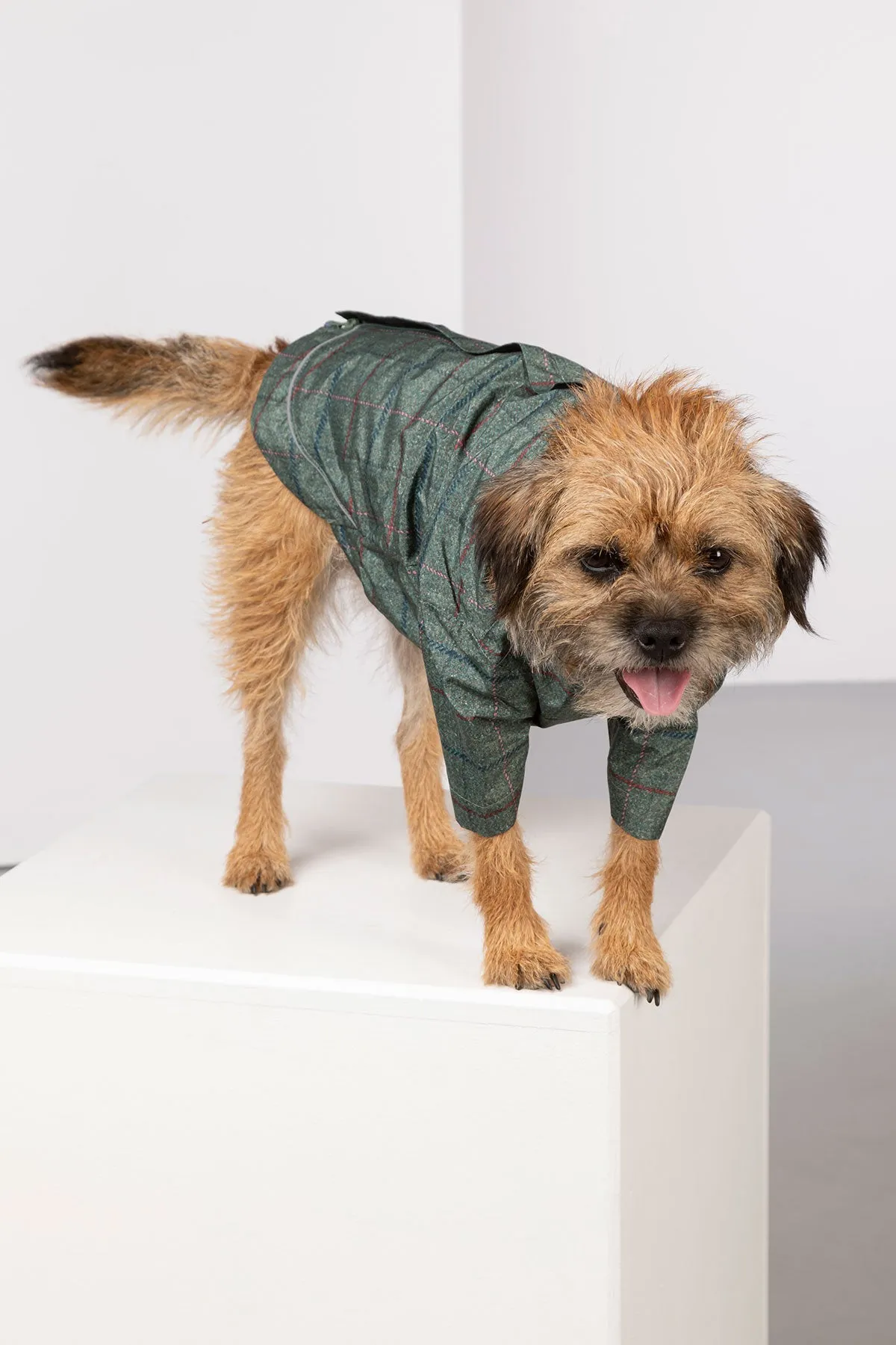 Dog Raincoats - Yapham