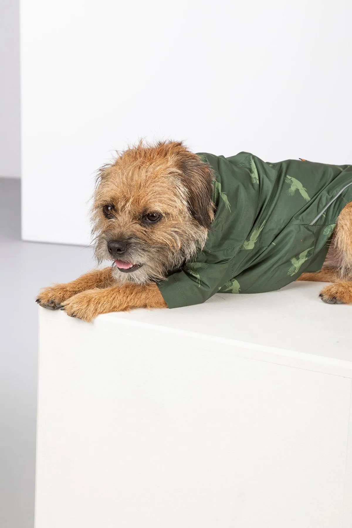 Dog Raincoats - Yapham