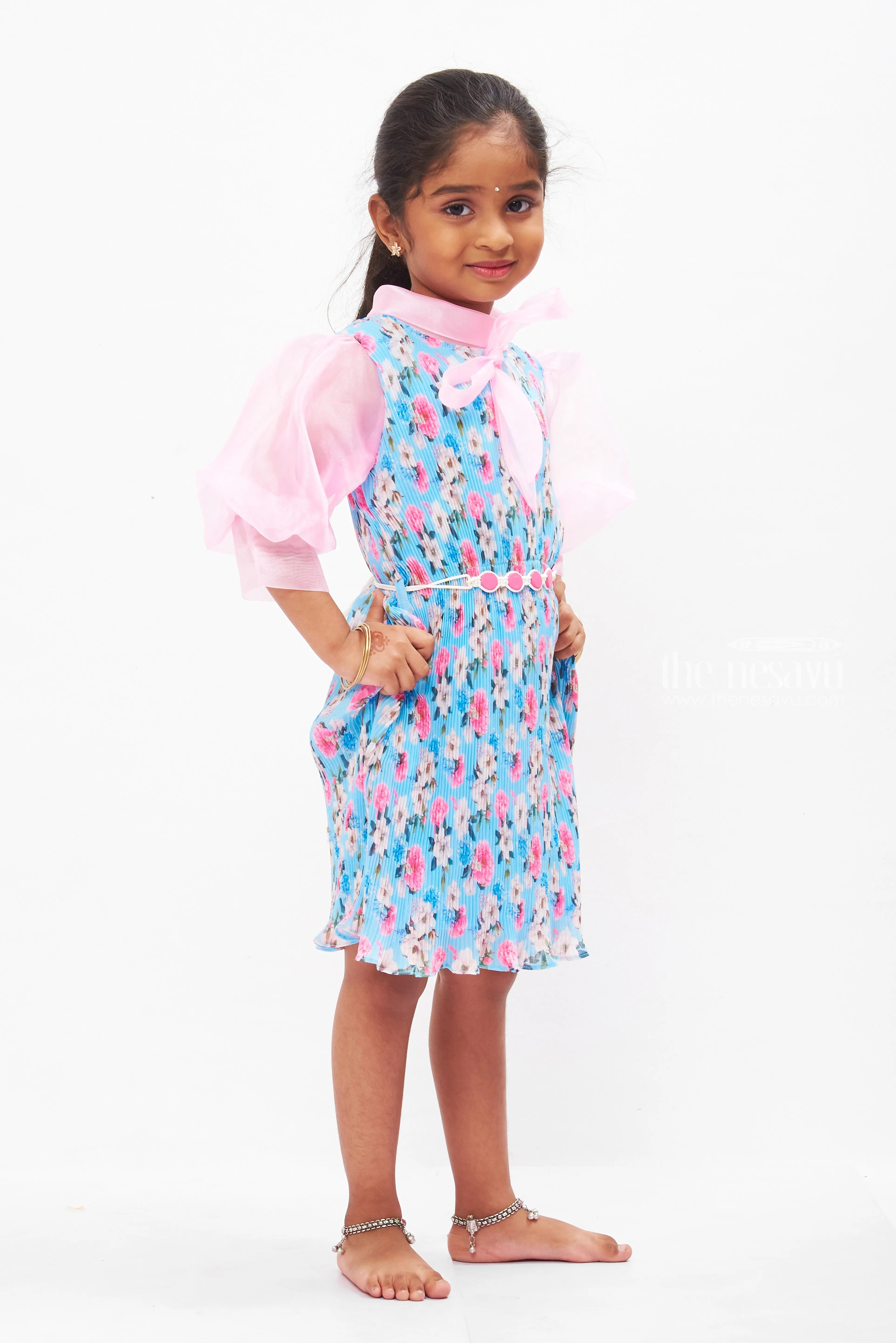 Enchanted Garden Sheer Fancy Frock with Organza Sleeves for Girls