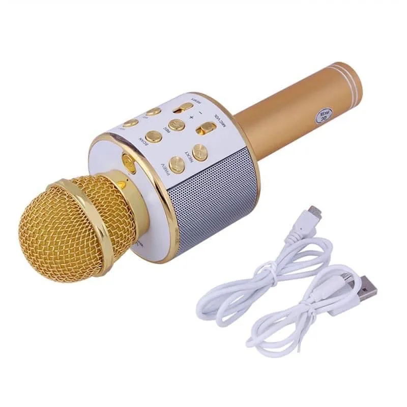 #H255 Wireless Microphone