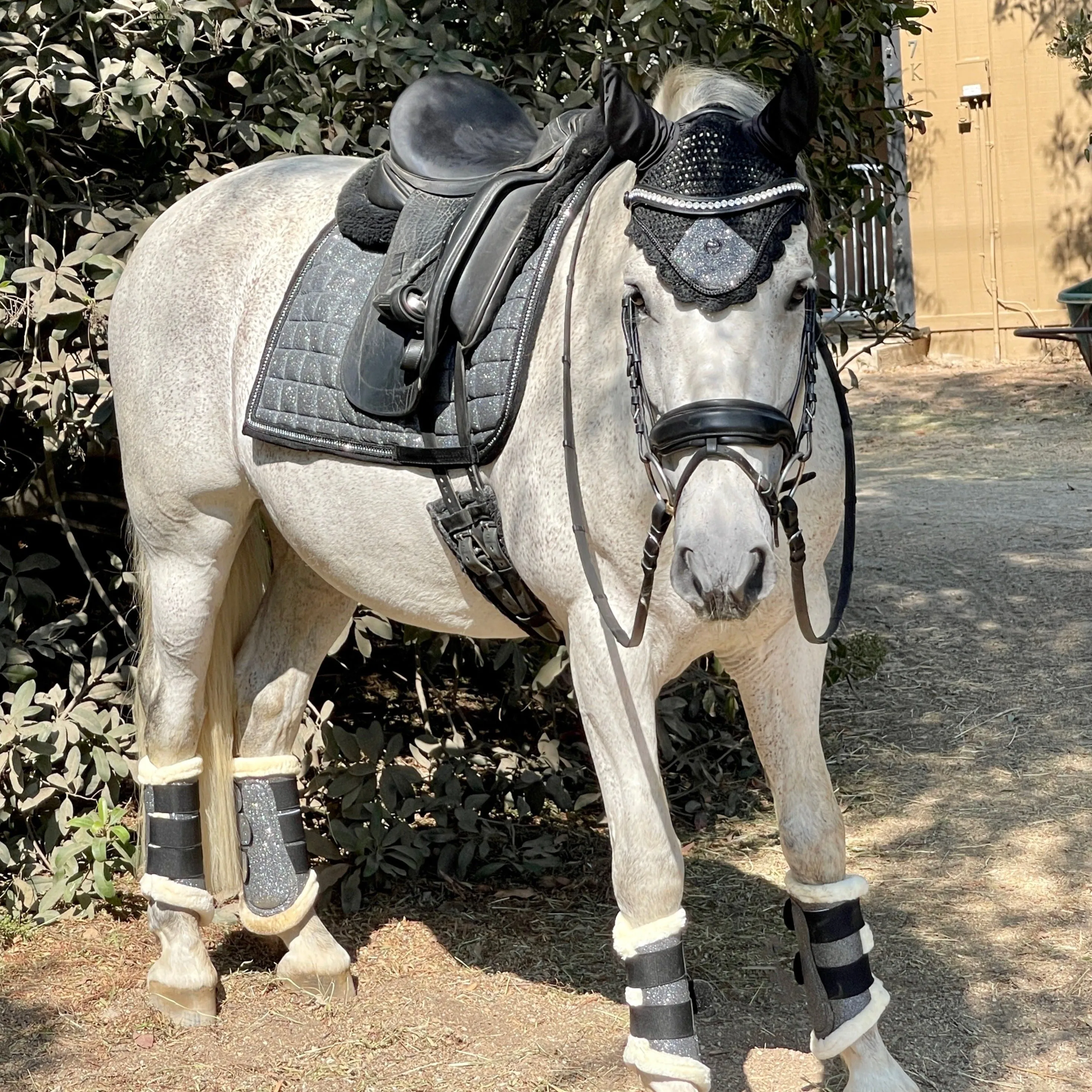 Halter Ego® Gunmetal Glitter Brushing Boots