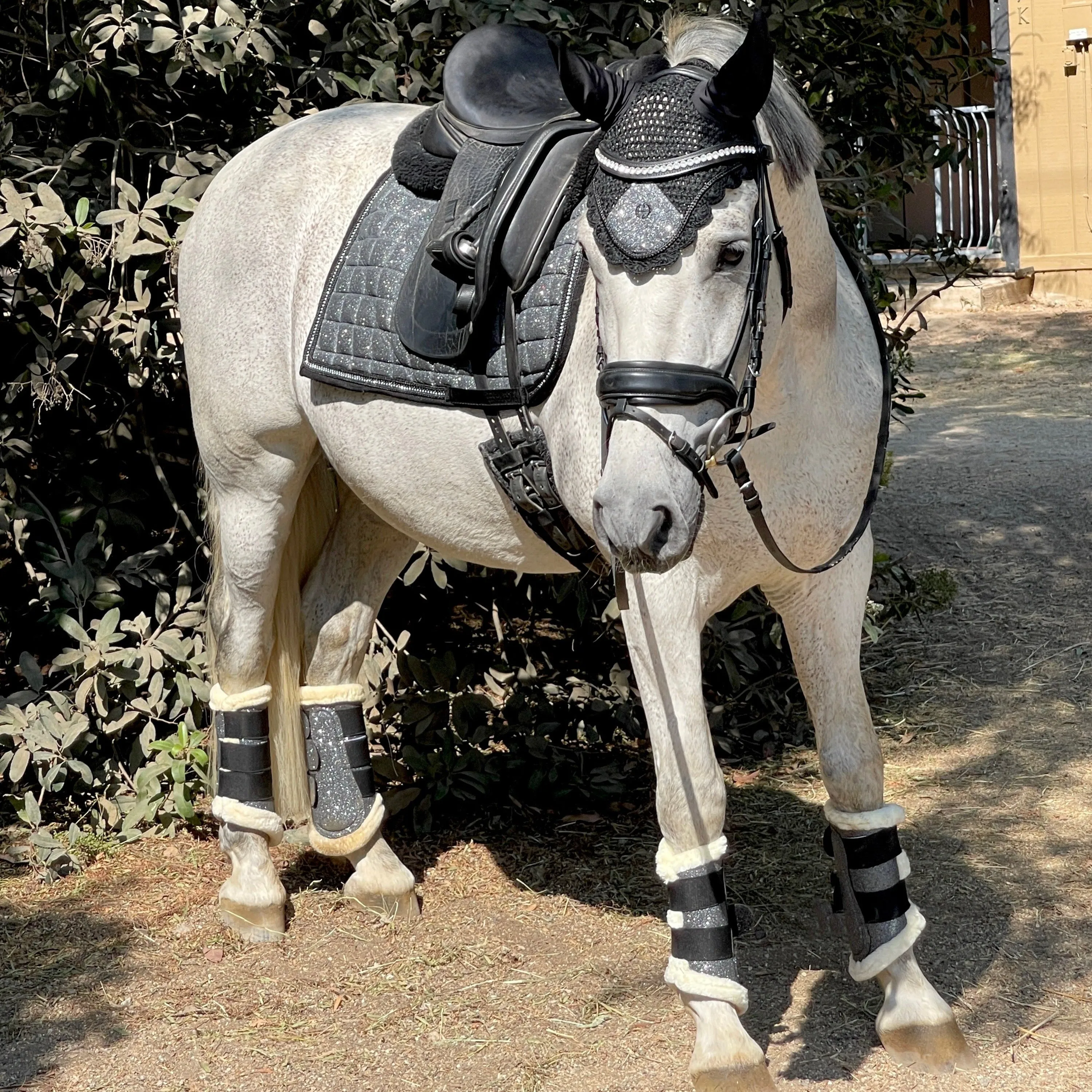 Halter Ego® Gunmetal Glitter Brushing Boots