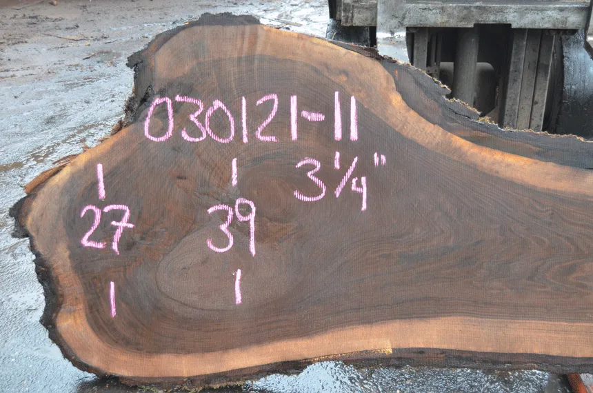 Oregon Black Walnut Slab 030121-11