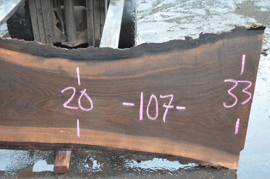 Oregon Black Walnut Slab 030121-11